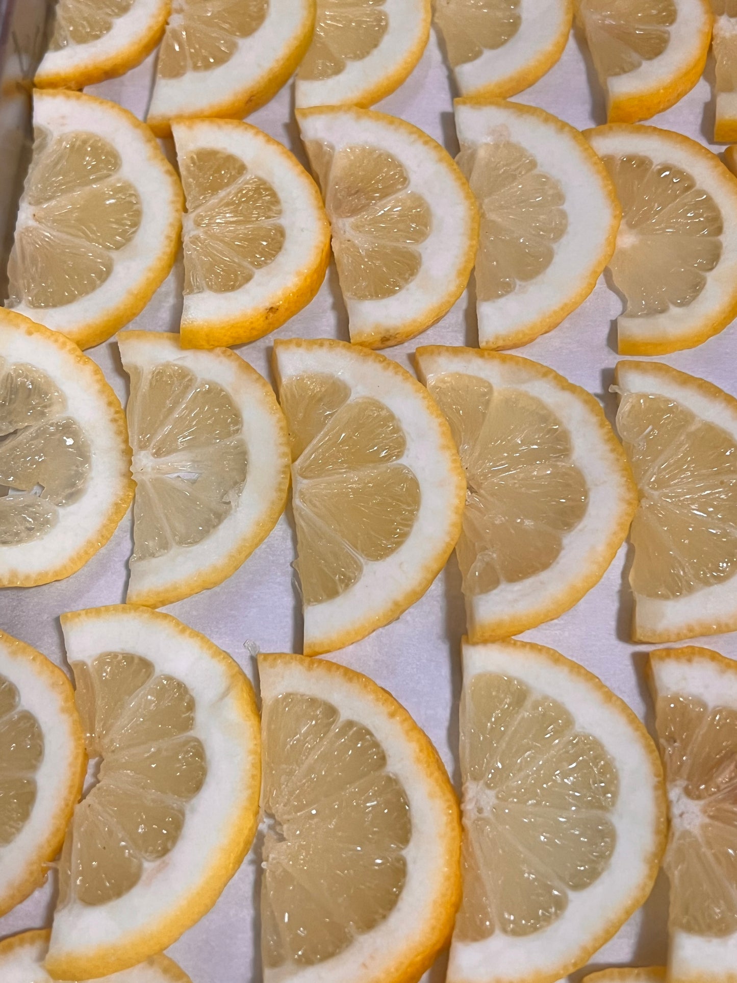 Lemon Slices 10g