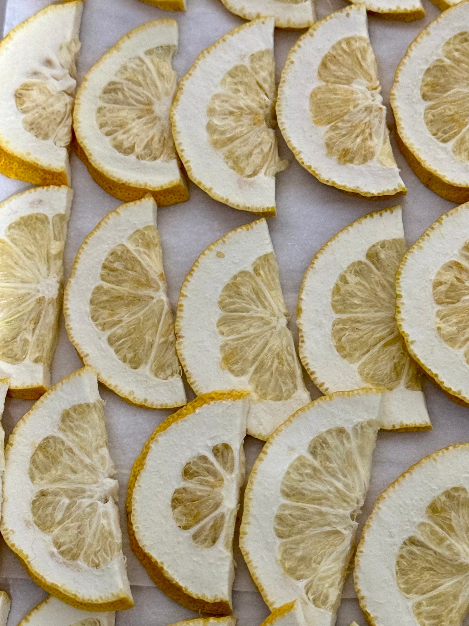The Freeze Dried Way-Fruit Collection