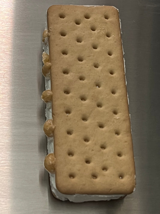 Vanilla Caramel Ice Cream Sandwich