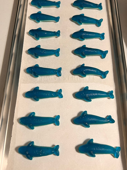Shark Attack