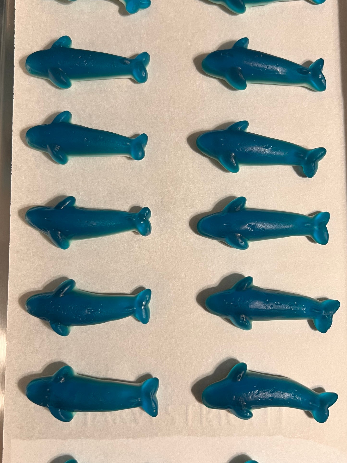 Shark Attack