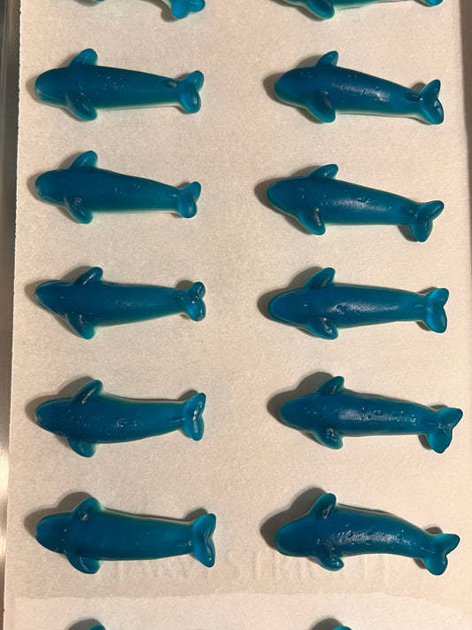 Shark Attack
