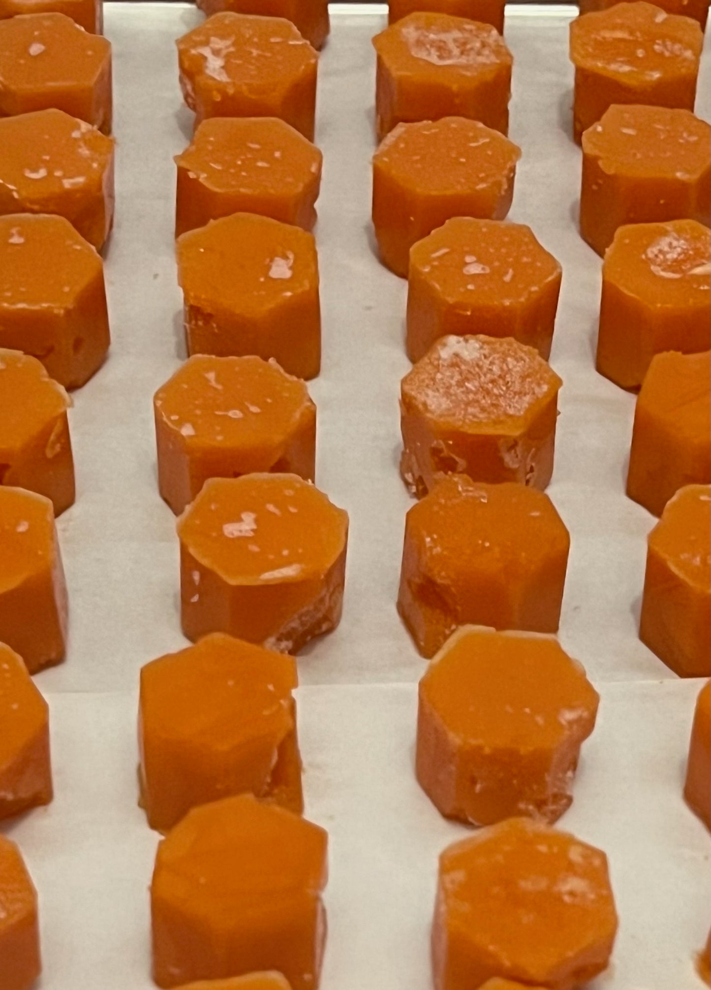 Cooked Carrots 1-Ingredient Dog Treats