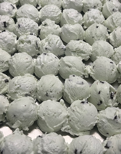 Mint Chocolate Chip Ice Cream